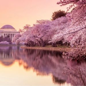 Meet your Posher, Candyce